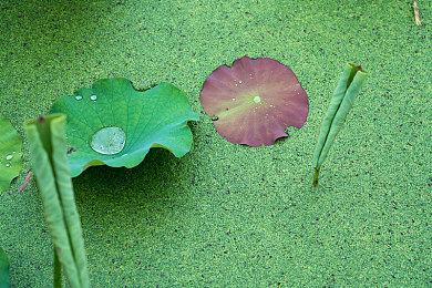 《模拟农场22》白金扩展版本公开 追加大量新内容